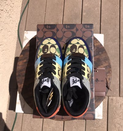 Bape Coach rainbow bapesta size 5