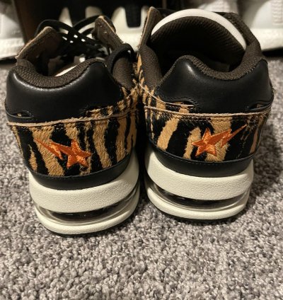 Bape Roadsta
