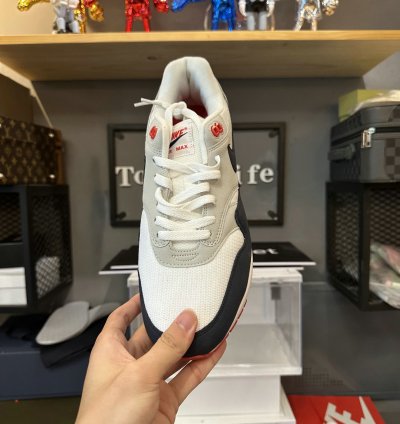 Nike Air Max 1 Shoes - FJ8314-001