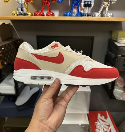 Nike Air Max 1 Shoes - DQ3989-100
