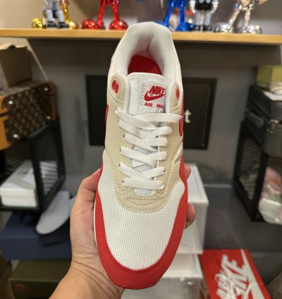 Nike Air Max 1 Shoes - DQ3989-100