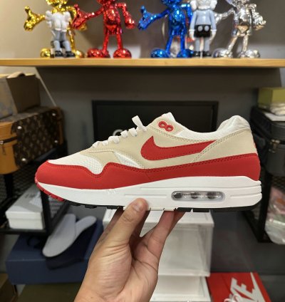 Nike Air Max 1 Shoes - DQ3989-100