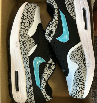 Nike Air Max 1 Shoes - 908366-001