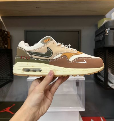 Nike Air Max 1 Shoes - DQ8656-133