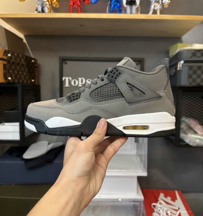 Jordan 4 Retro Cool Grey (2019) 308497-007