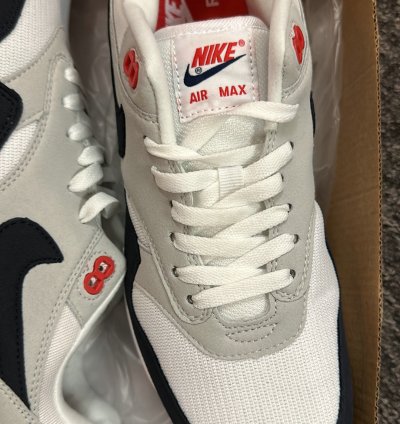 Nike Air Max 1 Shoes - DQ3989-101