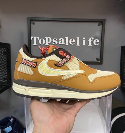 Nike Air Max 1 Shoes - DO9392-701