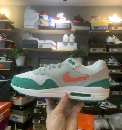 Nike Air Max 1 Shoes - AH8145-106
