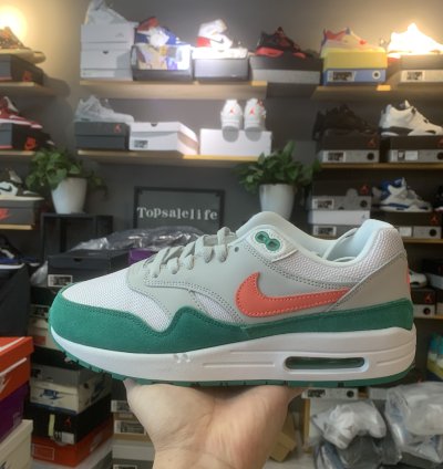Nike Air Max 1 Shoes - AH8145-106