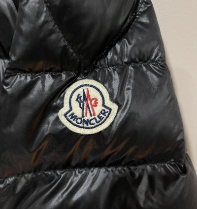 Moncler Acorus Down Jacket (7)