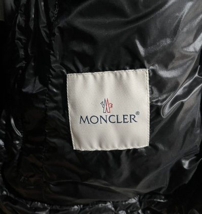 Moncler Acorus Down Jacket (7)