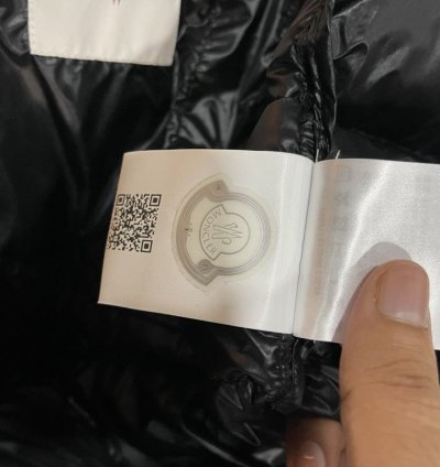 Moncler Acorus Down Jacket (7)