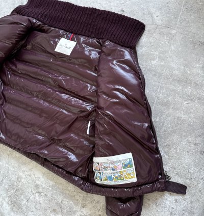 Moncler Albatros multicolor puffer jacket
