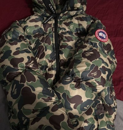 BAPE Canada Goose