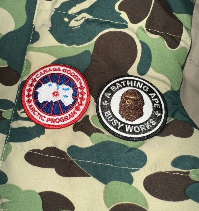 Bape Canada Goose Freestyle Vest