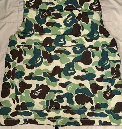 Bape Canada Goose Freestyle Vest