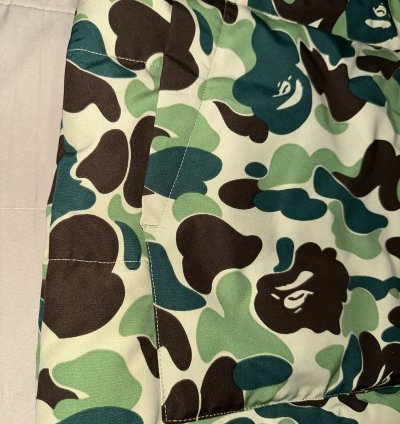 Bape Canada Goose Freestyle Vest