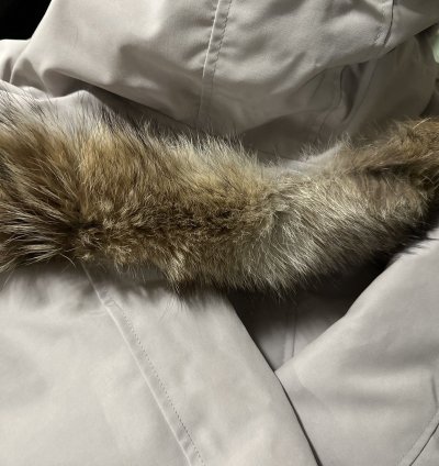 Canada Goode Langford Parka (Limestone)