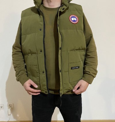 Canada goose