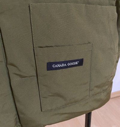 Canada goose