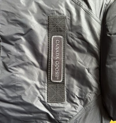 Canada Goose Concepts