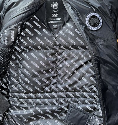 Canada Goose Concepts