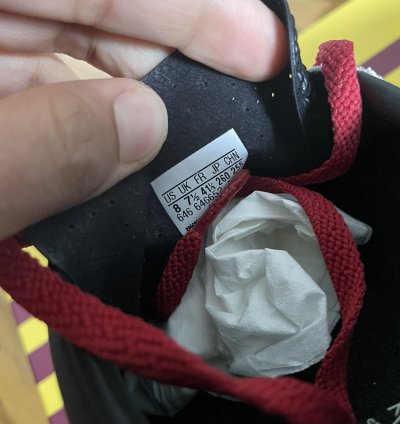 Adidas Gucci Gazelle Sneaker