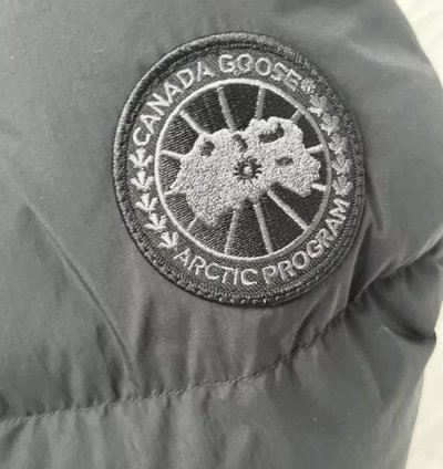 Canada goose Everett Puffer men