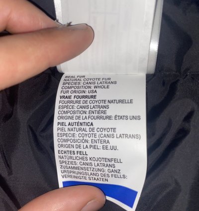 Canada Goose Expedition Parka Royal Blue