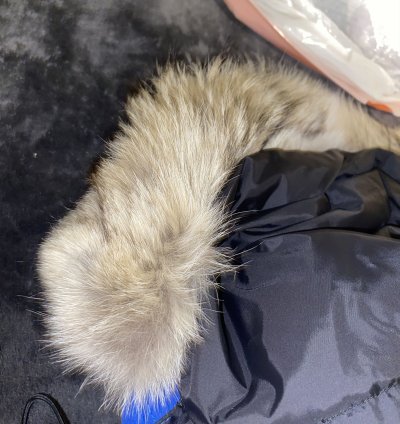 Canada Goose Men PBI Expedition Parka