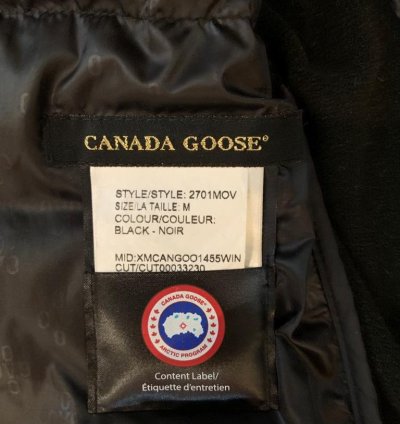 Canada goose OVO