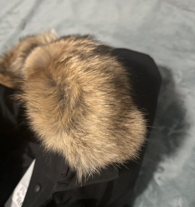 Canada Goose Wyndham Parka Fusion
