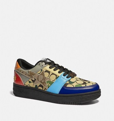 Bape Coach rainbow bapesta size 5