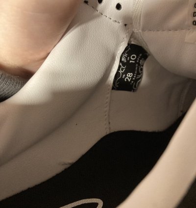 BAPE FUTURE BAPE STA LOW