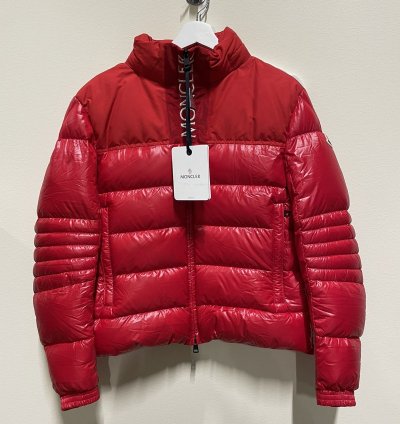 Moncler Bruel Down Jacket 1400