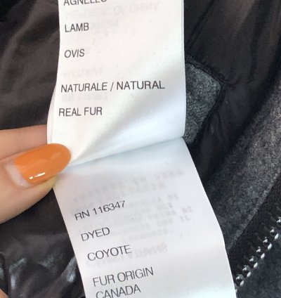 Moncler Damien puffer jacket maya branson bulgarie -2 ever