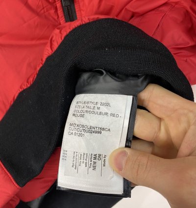 Never Worn Canada Goose Puffer Winter Jacket Doore Hoody