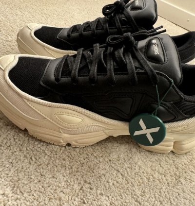 Adidas Ozweego Raf Simmons