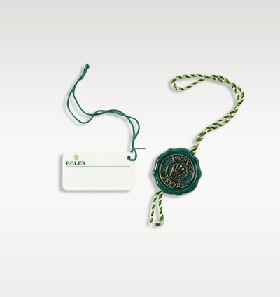 Rolex Daytona 116588saco