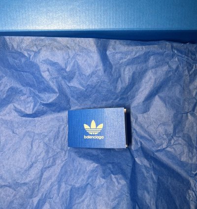Balenciaga Adidas Speed Sneakers