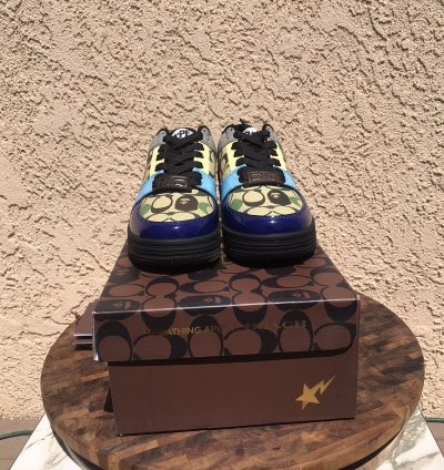 Bape Coach Rainbow Bapesta Size 5