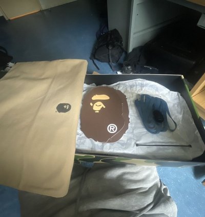 Bape Low Top Sneakers