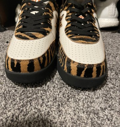 Bape Roadsta