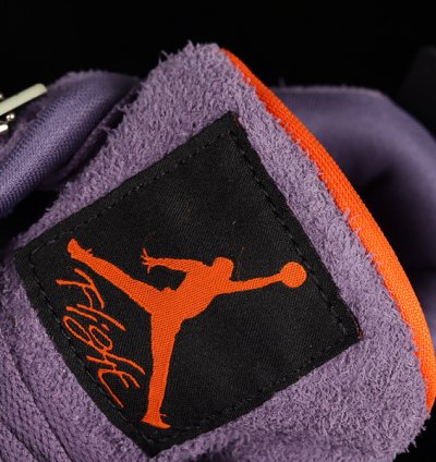 Nike Air Jordan 4 Retro Canyon Purple1