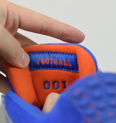 Nike Air Jordan 4 Retro Florida Gators Pe