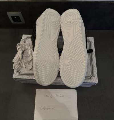 Bapesta Future