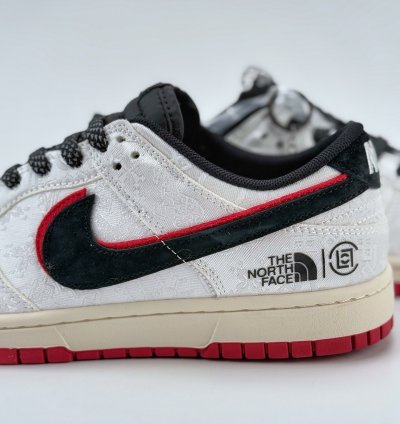 Nike Sb Dunk Low X The North Face Dm6868-041