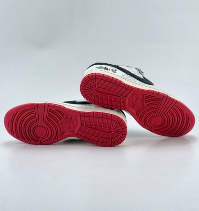 Nike Sb Dunk Low X The North Face Dm6868-041