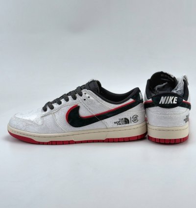 Nike Sb Dunk Low X The North Face Dm6868-041