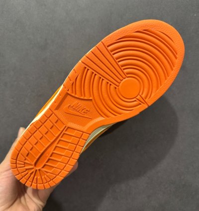 Nk Sb Dunk Low Pro Dv5744-667